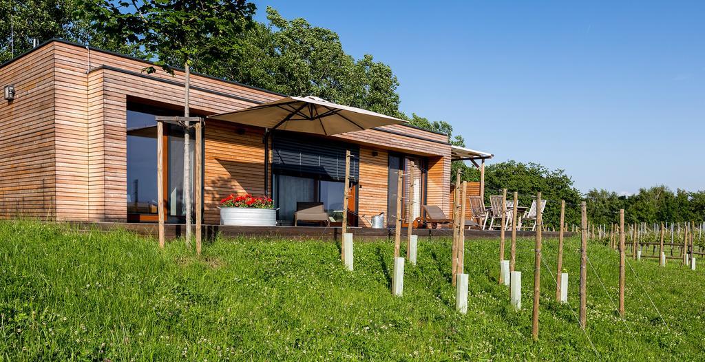 Weingarten-Resort Unterlamm Loipersdorf - Adults Only Exteriér fotografie